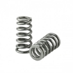 Picture of Skunk2 B58 High Lift Valve Springs and Titanium Retainers - 2020+ GR Supra