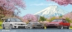 Picture of Tomei White Mug GDB/R32/AE86 Cherry Blossom Mt. Fuji