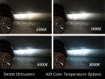 Picture of Diode Dynamics HID Bulb D4S 8000K (Pair)
