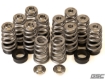 Picture of GSC Power-Division G16E-GTS Conical Valve Spring with Ti Retainer and Seat - 2023+ GR Corolla