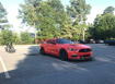 Picture of Verus Hood Louver kit GT Spec Hood Black - Mustang GT 15+