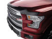 Picture of WeatherTech Dark Smoke Hood Bug Guard Raptor 17+