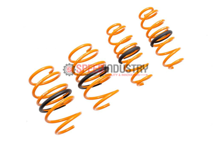 Picture of Megan Racing Lowering Springs - 2019+ Corolla Hatchback